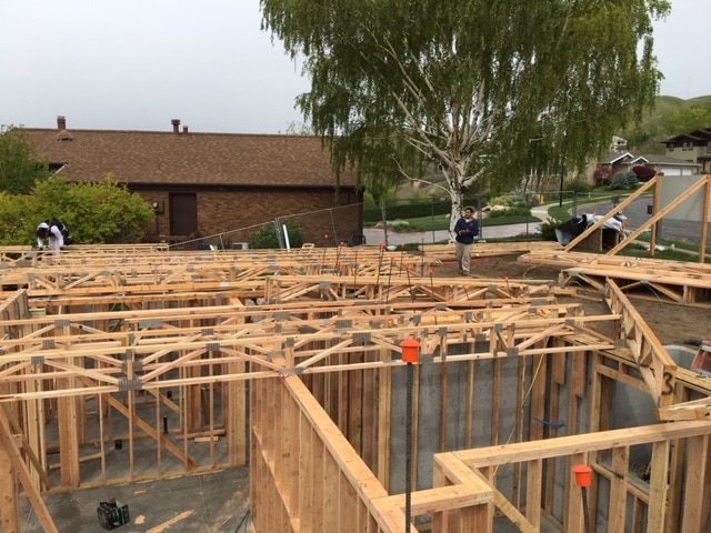 basement of new home framed, floor trusses being placed