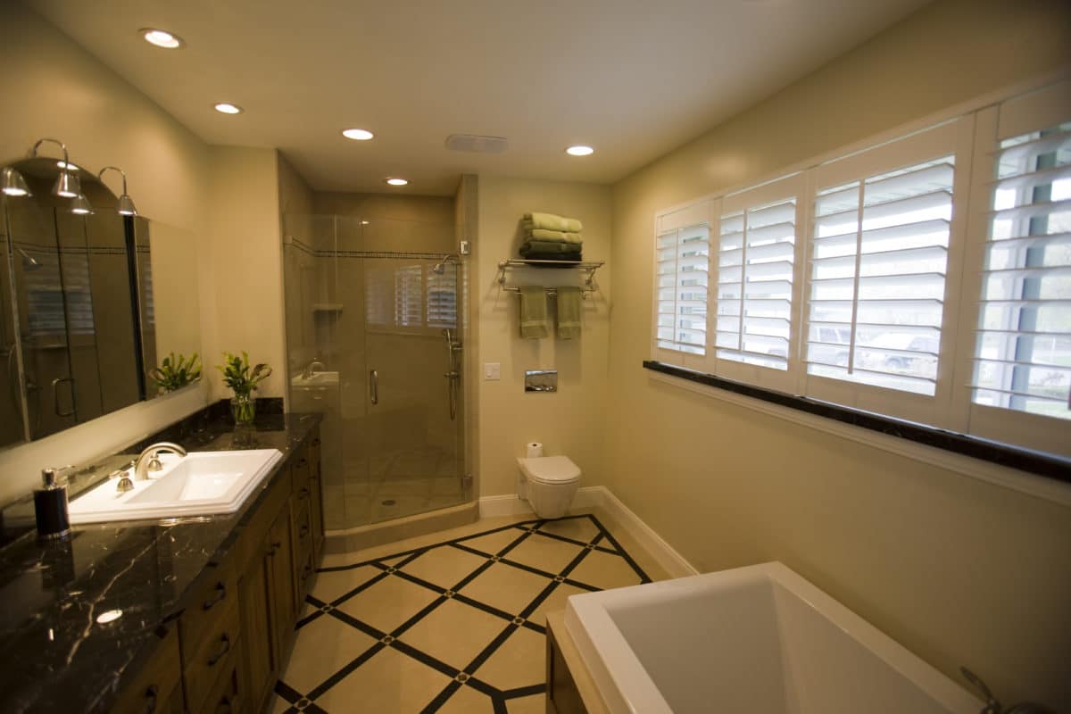 master bathroom with shower on far wall, a vanity cabinet on the left and bathtub on the right